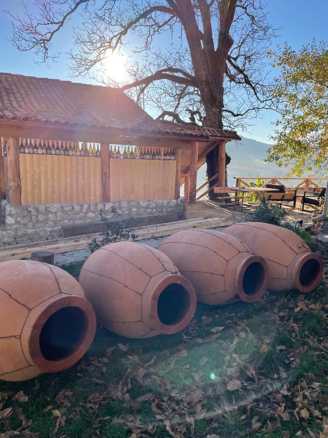 ホテルSadmeli Winery アンブロラウリ エクステリア 写真