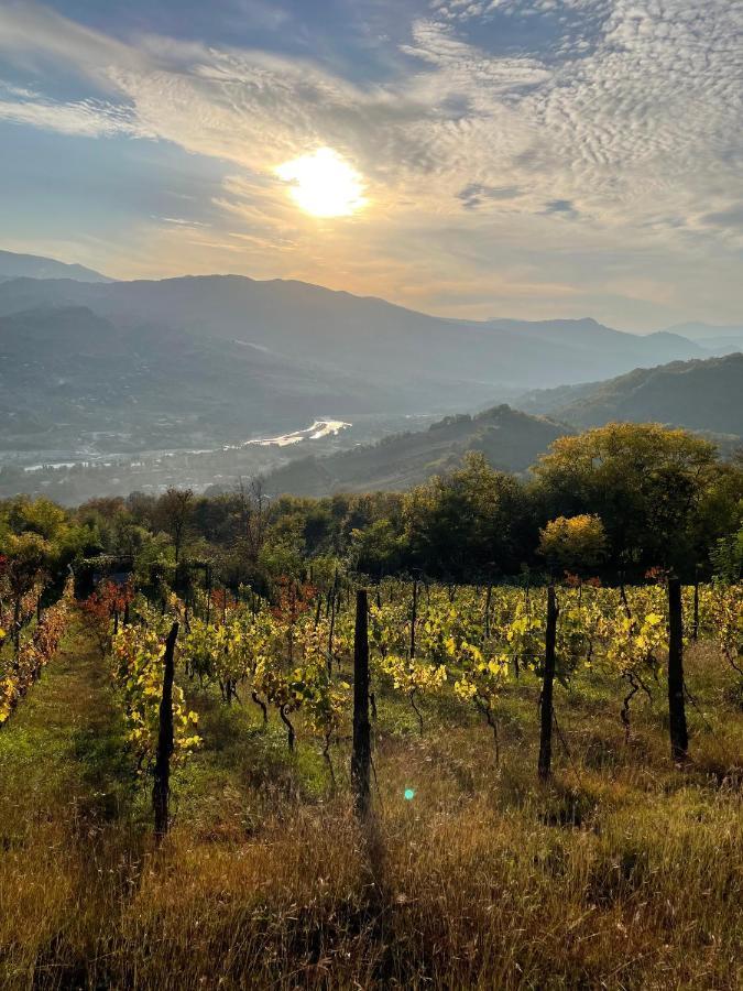 ホテルSadmeli Winery アンブロラウリ エクステリア 写真