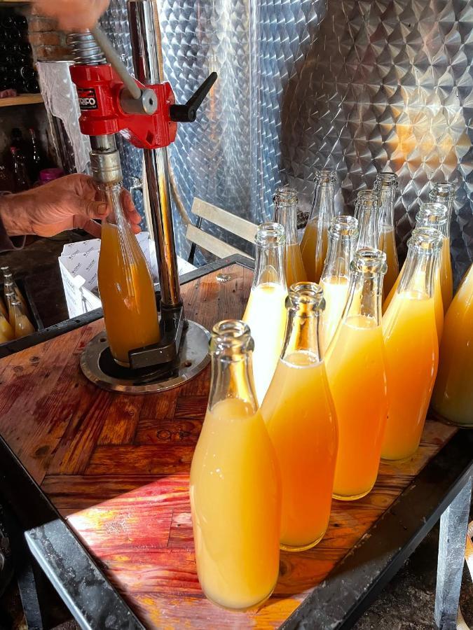 ホテルSadmeli Winery アンブロラウリ エクステリア 写真