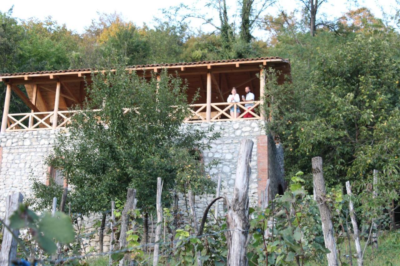 ホテルSadmeli Winery アンブロラウリ エクステリア 写真