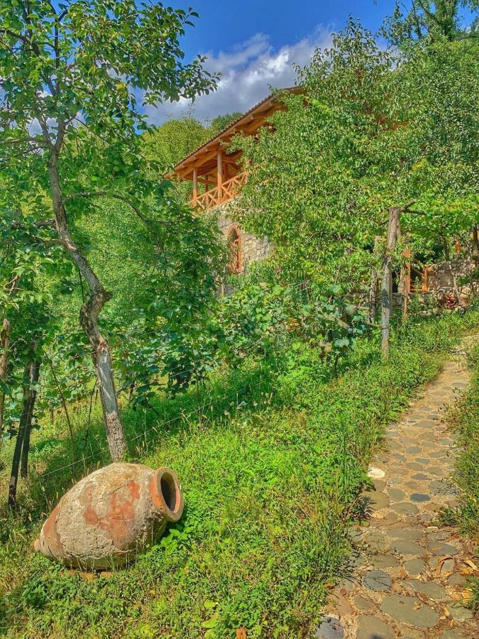 ホテルSadmeli Winery アンブロラウリ エクステリア 写真